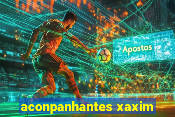 aconpanhantes xaxim